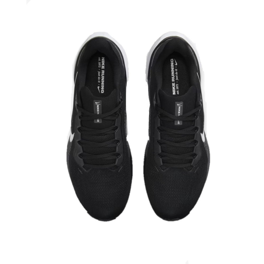 Nike Pegasus 41 FD2722-002 Sneakers Black / Anthracite / White