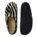 Andres Machado 001-Zebra Slipper Zebra Andres Machado 001-Zebra Slipper Zebra