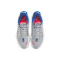 Nike PG 5 CW3143-005 Sneaker Ασημί