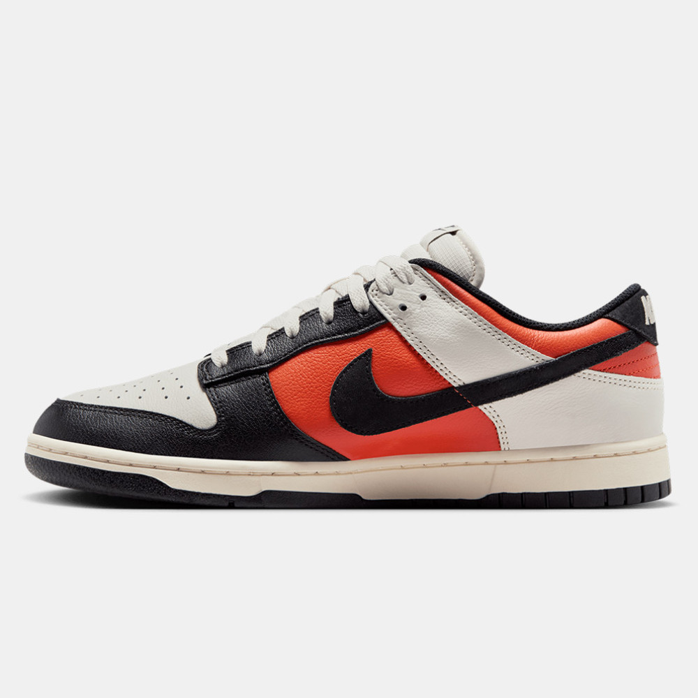 Nike Dunk Low Retro HQ4988-030 MultiColor