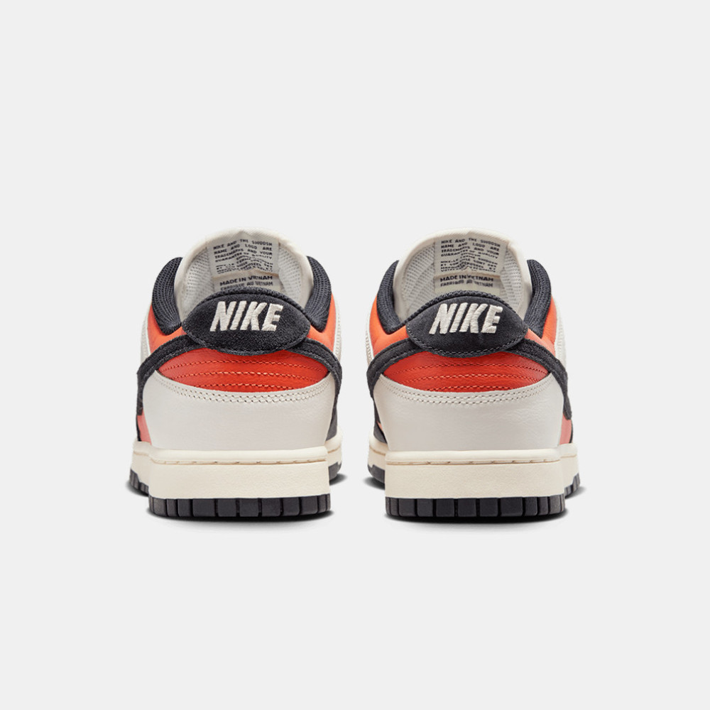 Nike Dunk Low Retro HQ4988-030 MultiColor