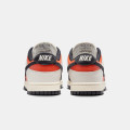 Nike Dunk Low Retro HQ4988-030 MultiColor
