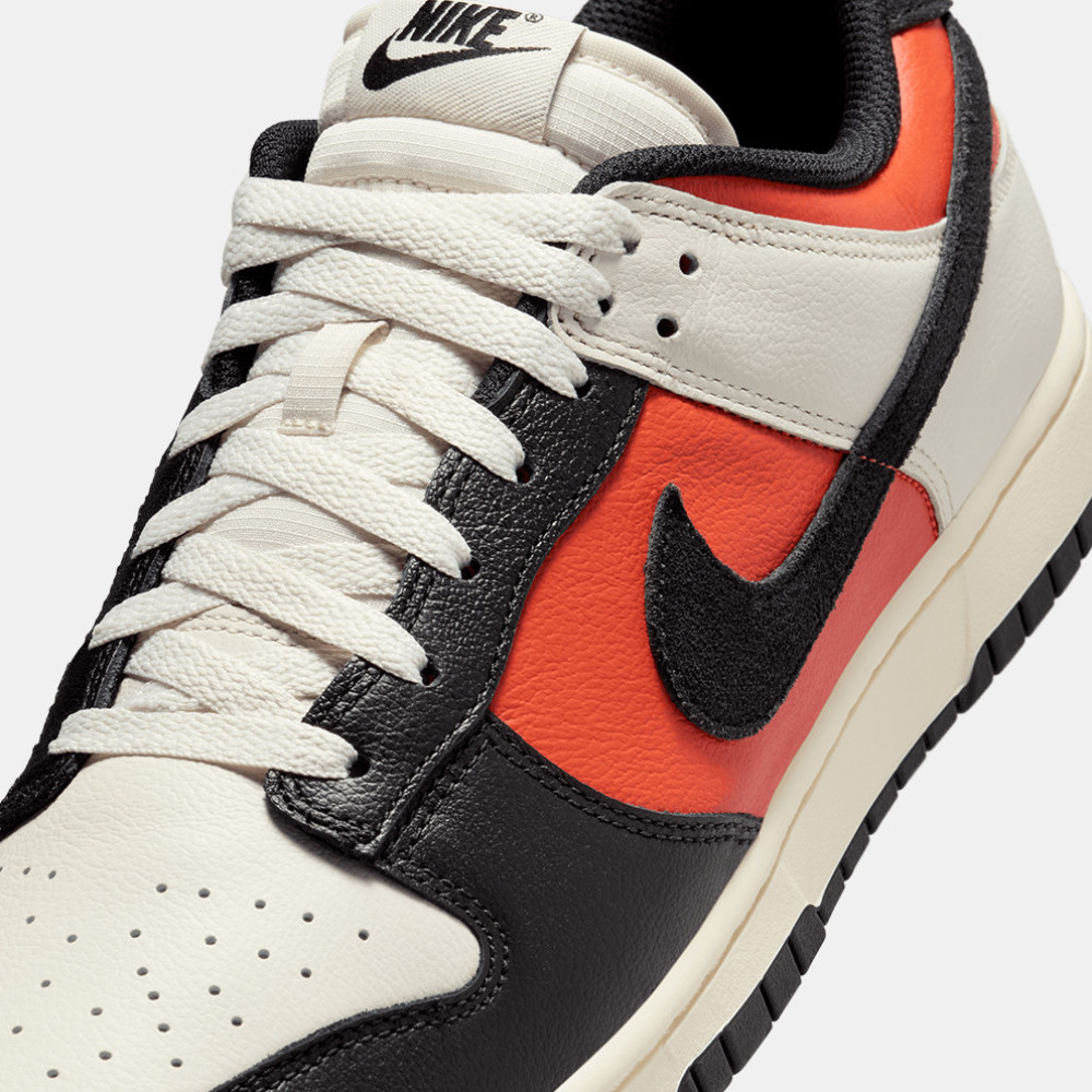 Nike Dunk Low Retro HQ4988-030 MultiColor