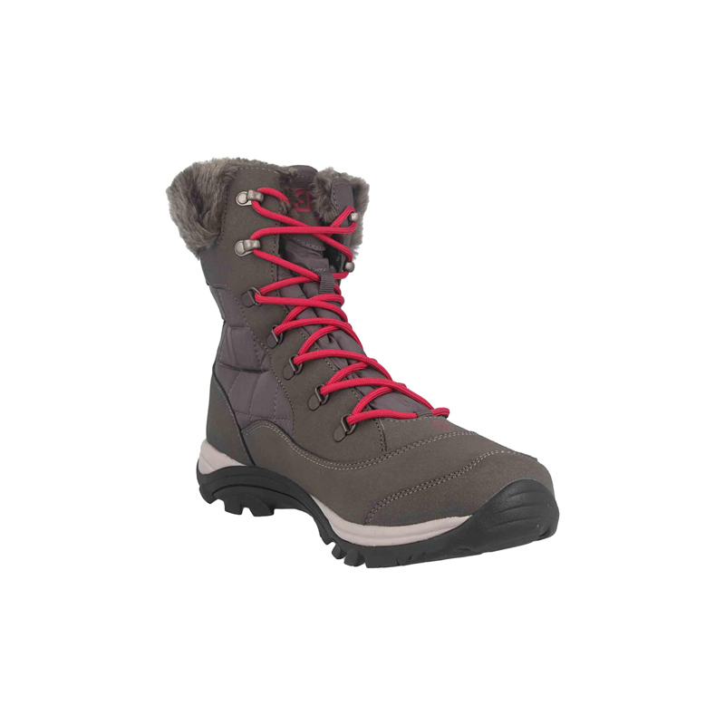 Bruetting Himalaya 711007 Γκρι φωτογραφία